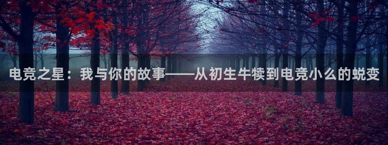 必赢电竞电竞比分：电竞之星：我与你的故事