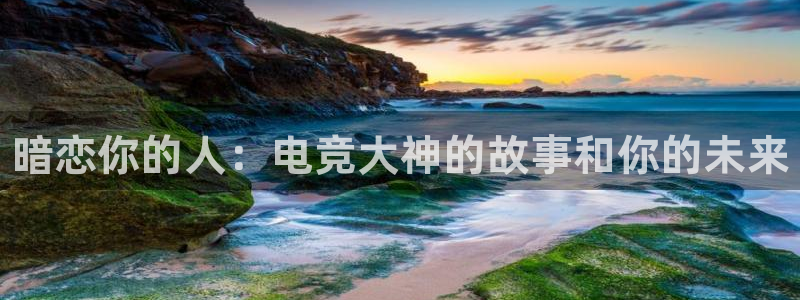 必赢电竞电竞官网A：暗恋你的人：电竞大神