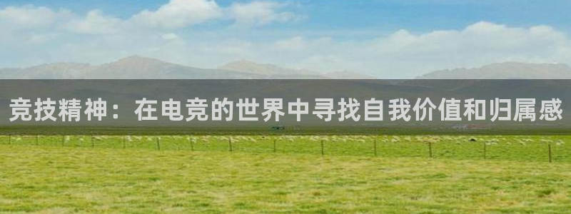 必赢电竞电竞·(中国)电子竞技平台