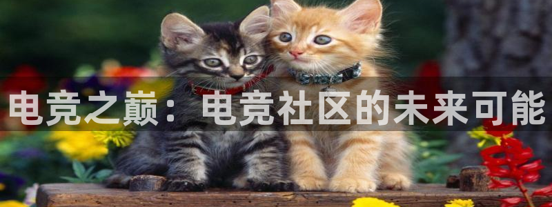 必赢电竞电竞l y7 9。cn