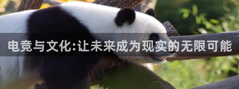 必赢电竞电竞官网最新下载