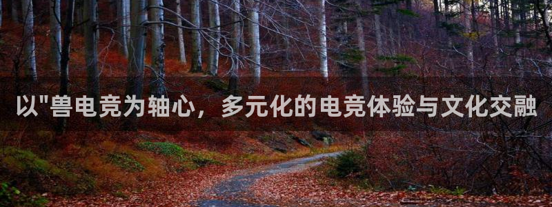 必赢电竞电竞app最新版：以\