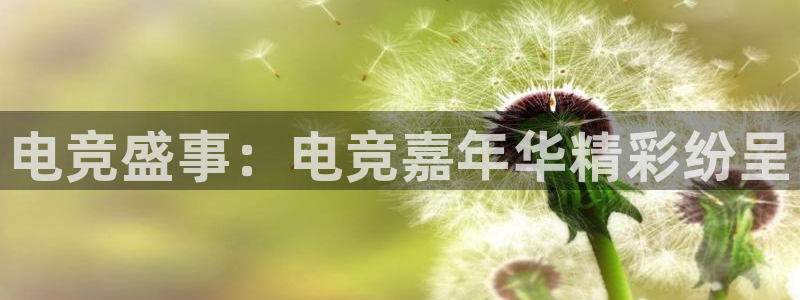 必赢电竞电竞平台官方网站入口：电竞盛事：