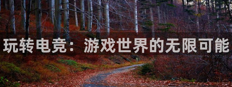 必赢电竞电竞网页APP下载：玩转电竞：游