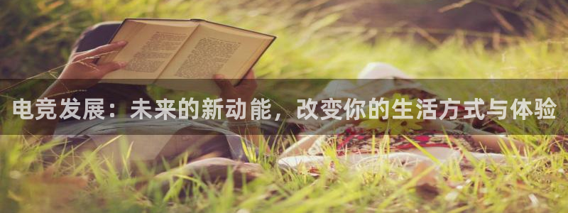 必赢电竞电竞平台app