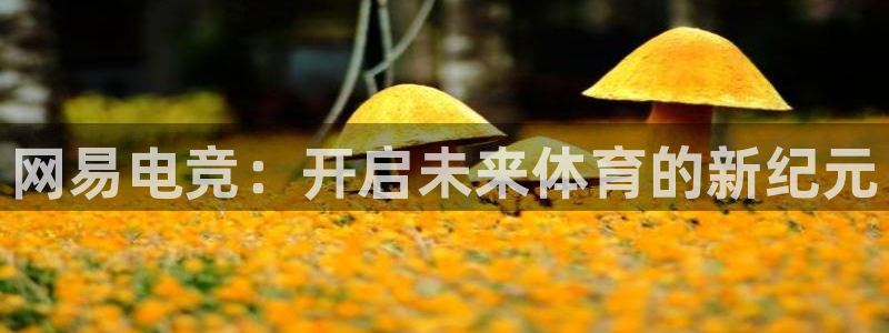 必赢电竞电竞客服：网易电竞：开启未来体育的新纪元