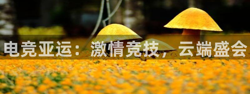 必赢电竞电竞手机官网：电竞亚运：激情竞技