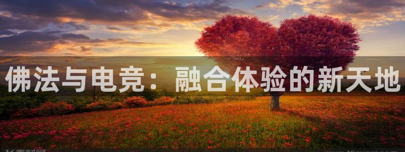 必赢电竞电竞看ly79典cn：佛法与电竞