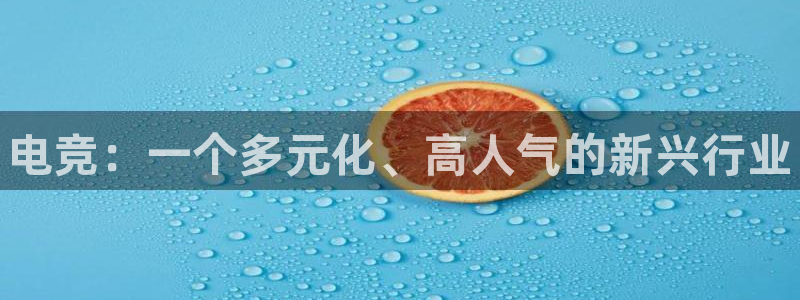 必赢电竞电竞下载ios绿色版：电竞：一个