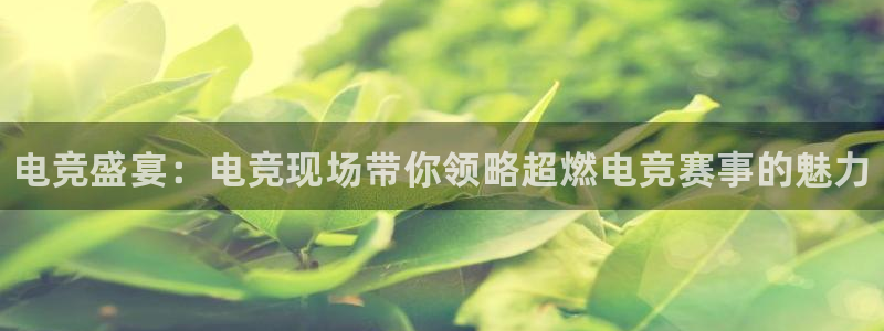必赢电竞电竞官网最新下载：电竞盛宴：电竞